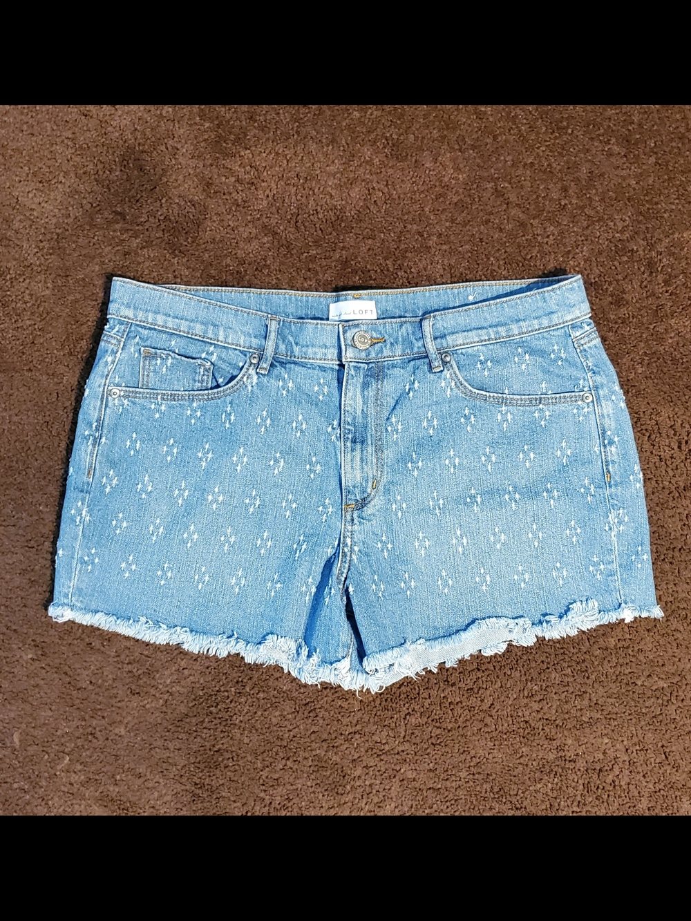 LOFT Light Blue Embroidered Denim Frayed-Hem Shorts